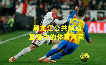 黑龙江公共频道直播中的体育风采