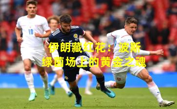 伊朗藏红花：波斯绿茵场上的黄金之魂