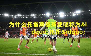 为什么托雷斯被球迷昵称为“托妞”