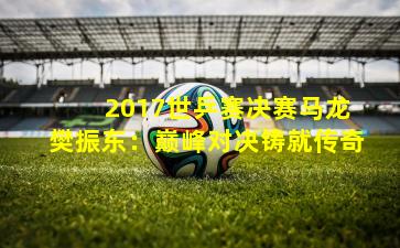  2017世乒赛决赛马龙樊振东：巅峰对决铸就传奇