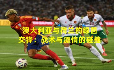澳大利亚与荷兰的绿茵交锋：战术与激情的碰撞